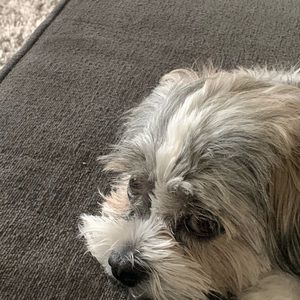 Meet your Posher, Adrianna